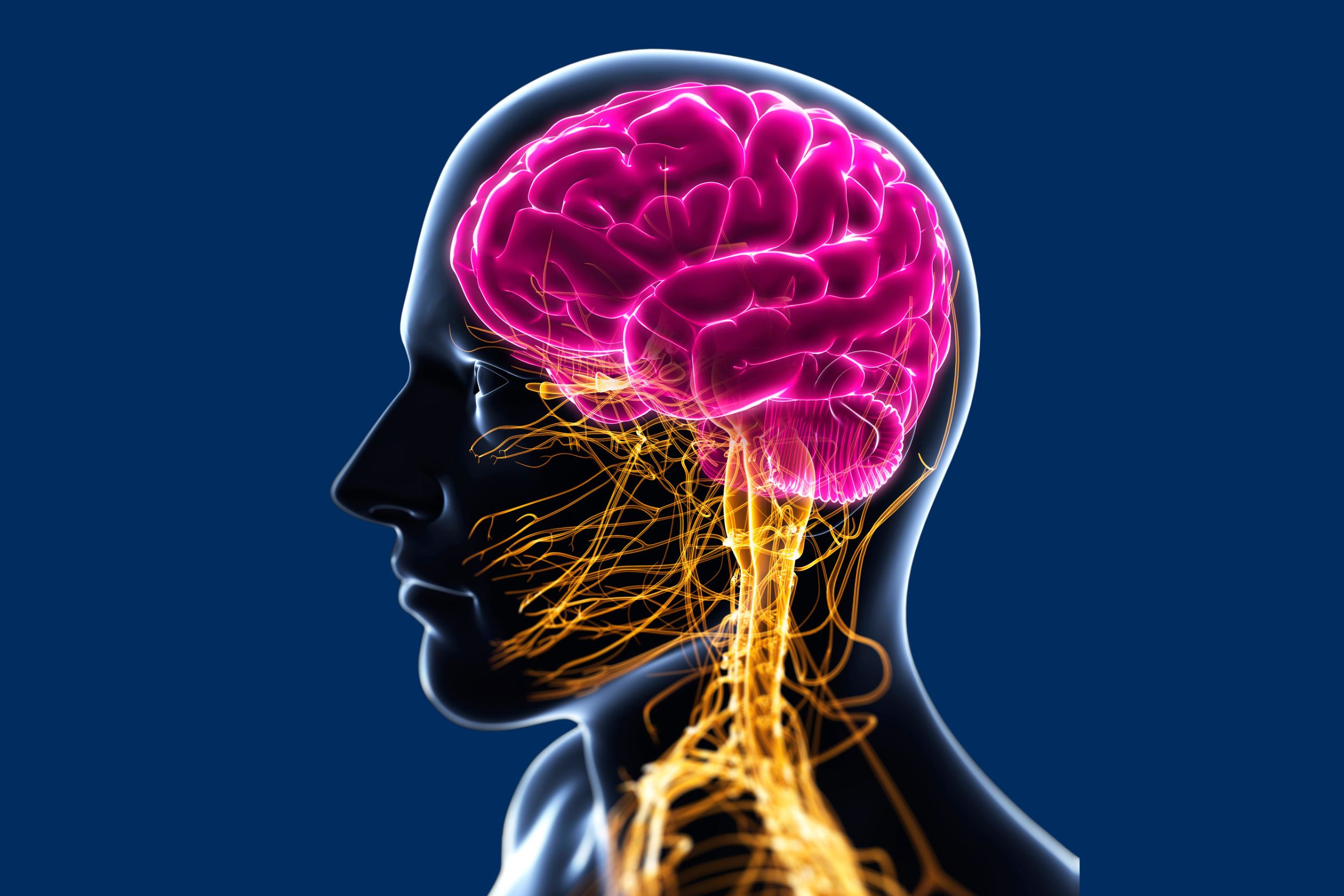 Atypical Parkinsonism – MSA, PSP, CBD