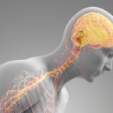 Deep Brain Stimulation Surgery for Parkinson's Disease